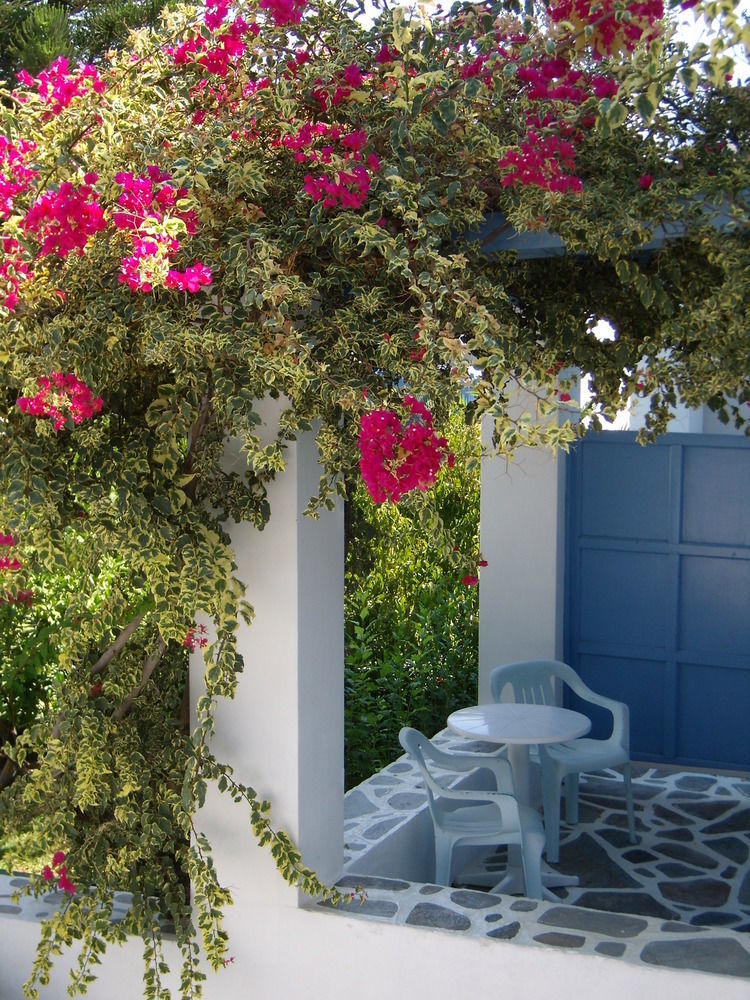 Panorama Paros Hotell Exteriör bild